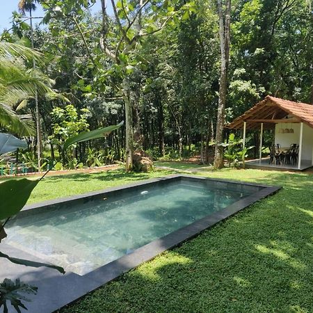 Pool Villa - The Humming Trees, Pala Lālam 외부 사진